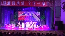 湖南文化志愿者赴鄂开展边疆行活动_视频在线