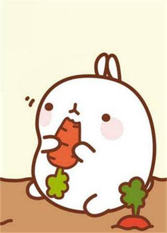 萌浪兔第一季molang