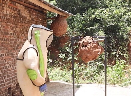 遇到马蜂时应该如何应对？