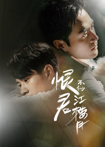 恨君不似江楼月剧情介绍