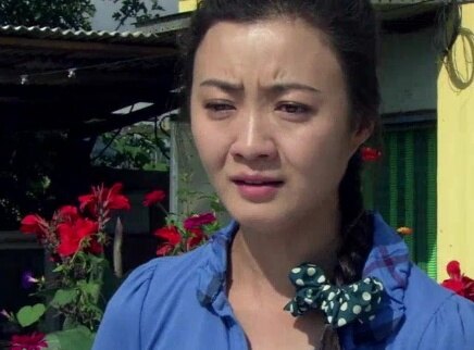多彩庄家院 40集