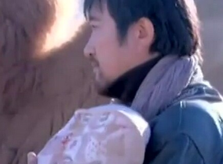 胡杨女人 3集