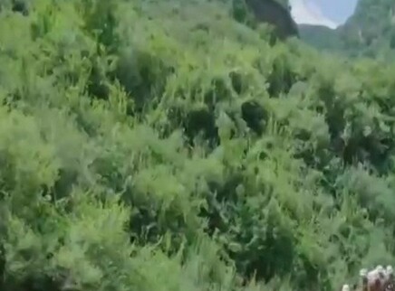 战地青春之歌 15集