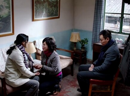 养个孩子不容易 35集