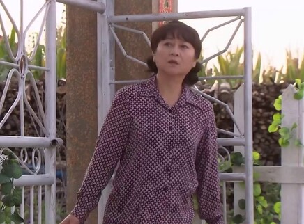 女人的天空 21集