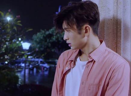 不一样的美男子2 3集