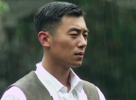 远去的飞鹰 30集