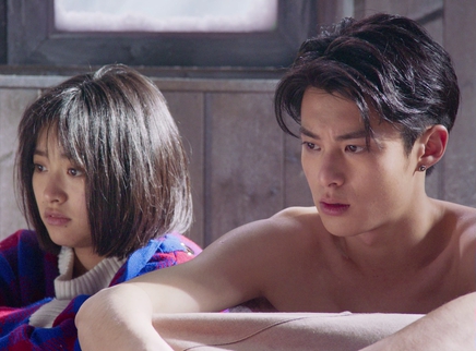流星花园 DVD版 16集