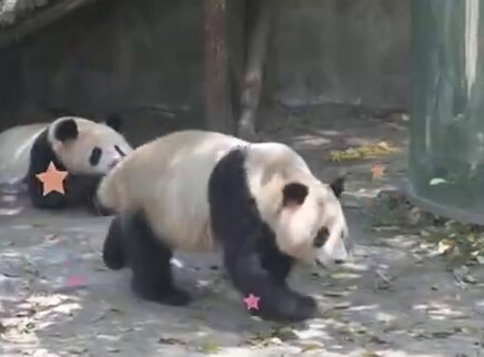 米卡看世界 2集