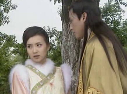 选妃记 20集