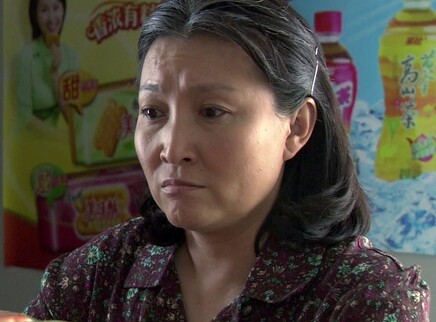 我的土地我的家 21集