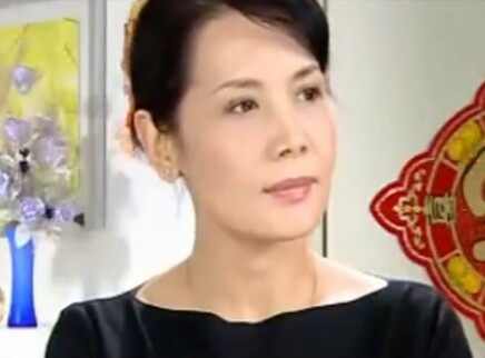 扫黑行动 10集