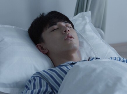 少年派 DVD版 25集
