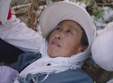 花开时节 23集