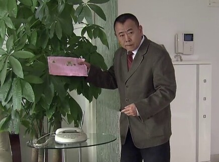 精豆儿 11集