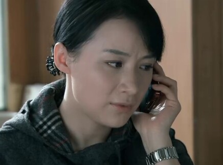 再婚进行时 28集