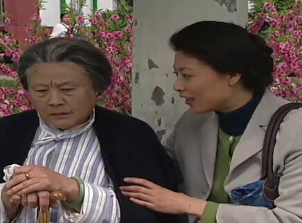 风雨人生 19集