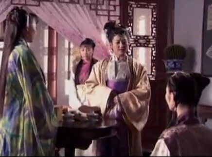 黛玉传 28集