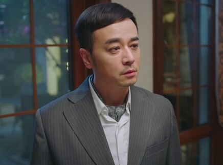 下一站是幸福 DVD版 29集