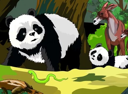 小笨熊之熊猫宝贝 8集