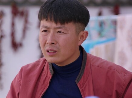 一个都不能少 24集