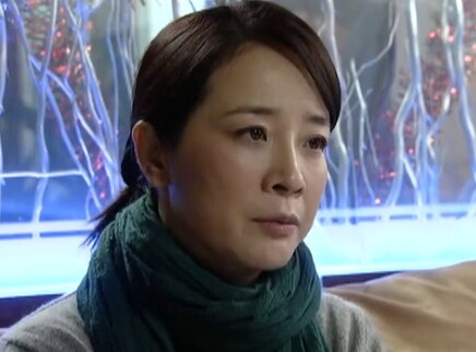 我的糟糠之妻 17集