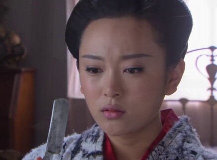雪鹰 33集
