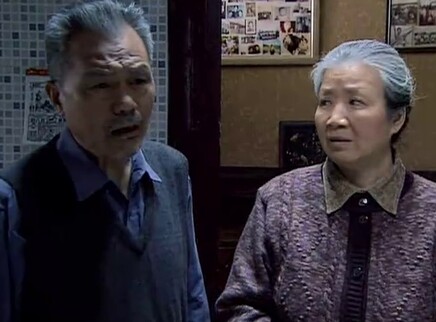 老伴 6集