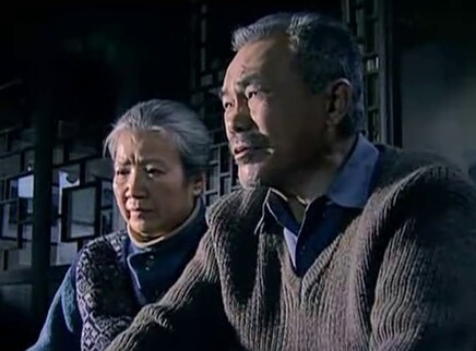老伴 11集