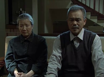 老伴 14集