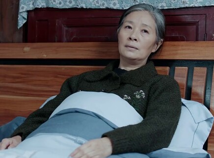 月是故乡明 19集