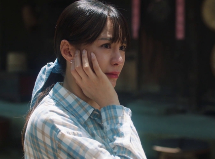 江山如此多娇 13集