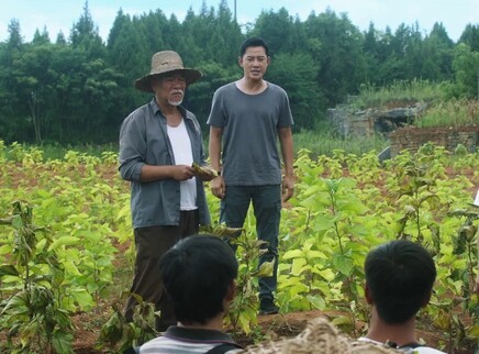 江山如此多娇 15集