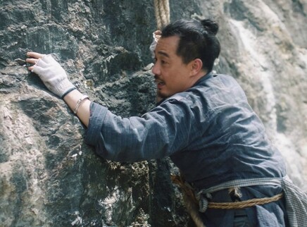 江山如此多娇 DVD版 14集