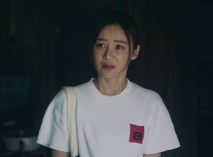 江山如此多娇 17集