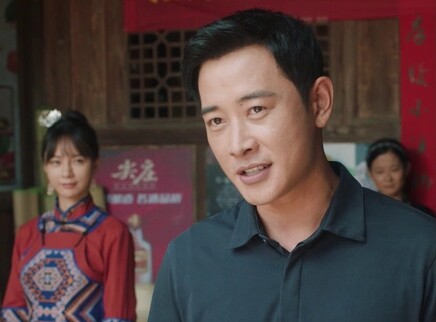 江山如此多娇 DVD版 20集