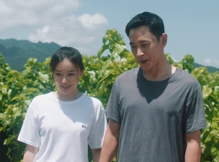 江山如此多娇 DVD版 21集
