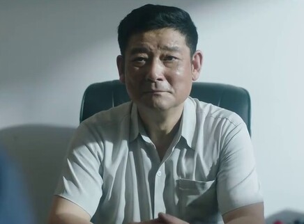 江山如此多娇 DVD版 24集