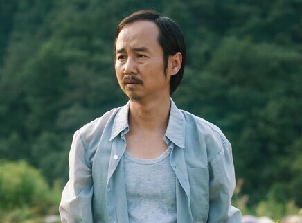 江山如此多娇 DVD版 26集