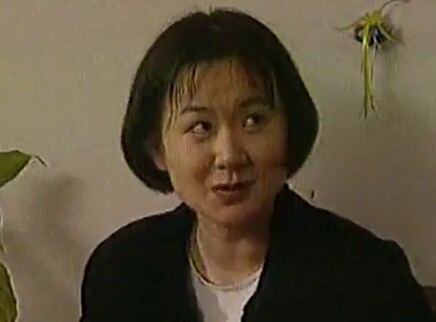 迷失的岁月 9集
