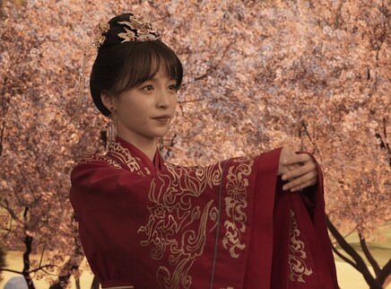 回到大婚那一天 6集