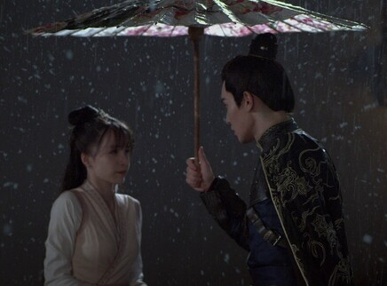 回到大婚那一天 8集