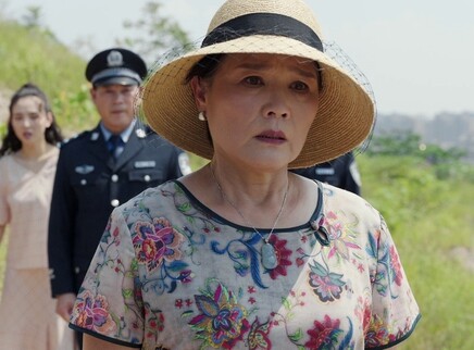 八零九零 DVD版 25集