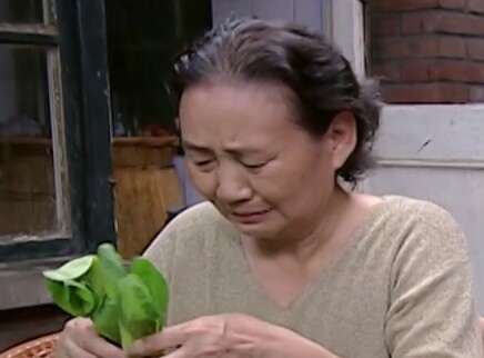 你是我的一片天 12集
