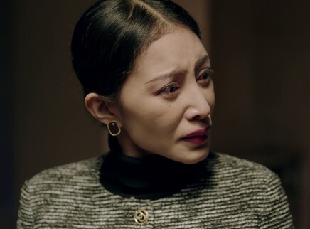 无法沉睡的她 23集