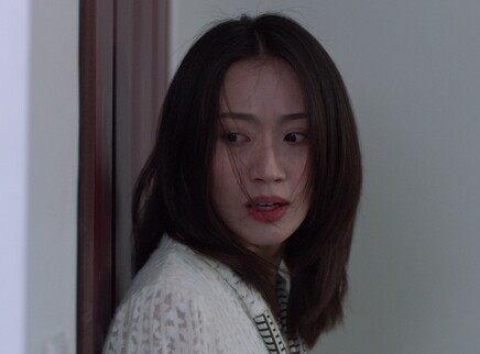 妻子的秘密世界 21集