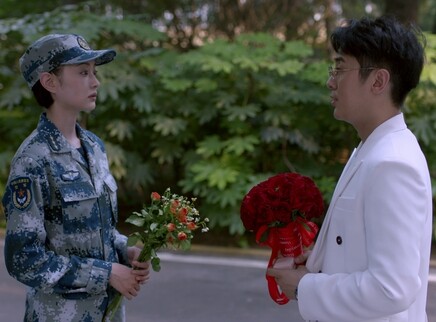 勇敢的翅膀 24集