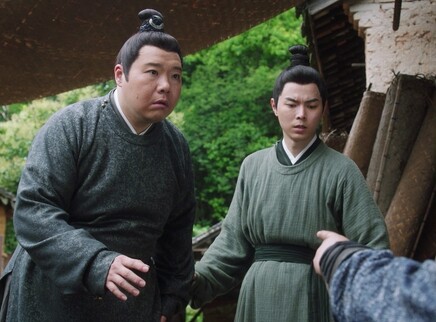 玉面桃花总相逢 20集