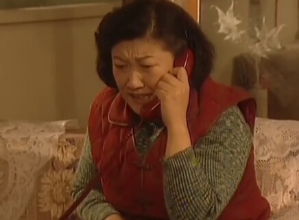 农家十二月 17集