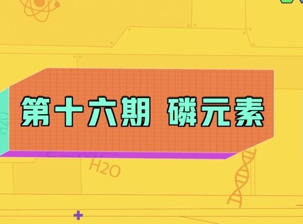 小小化学家 16集